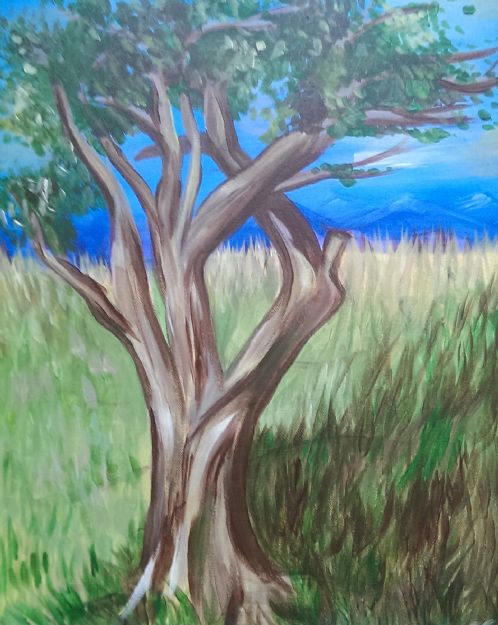 Colorado Tree