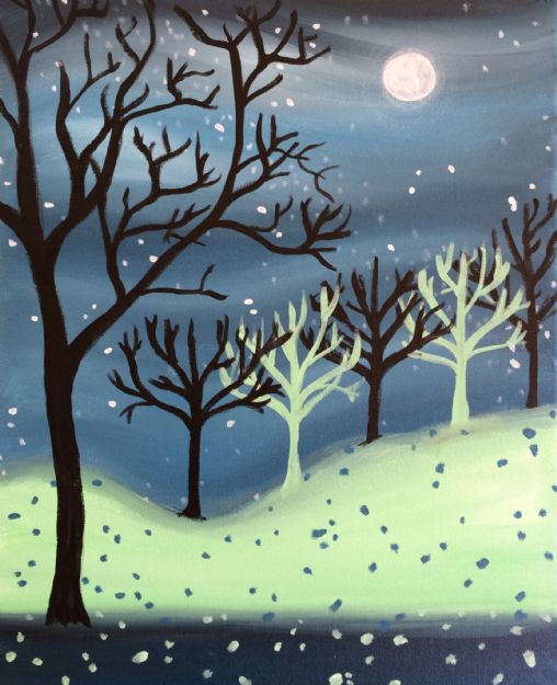 Midnight in the Forest