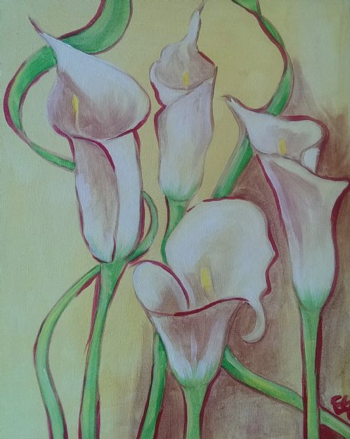 White Tulips in the Sun