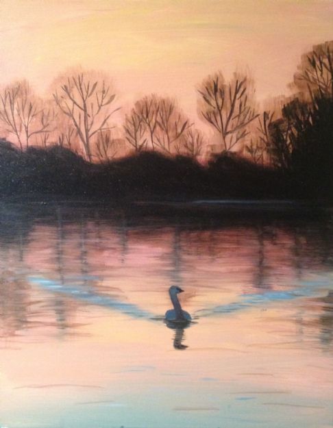 Solo Swan at Sunset