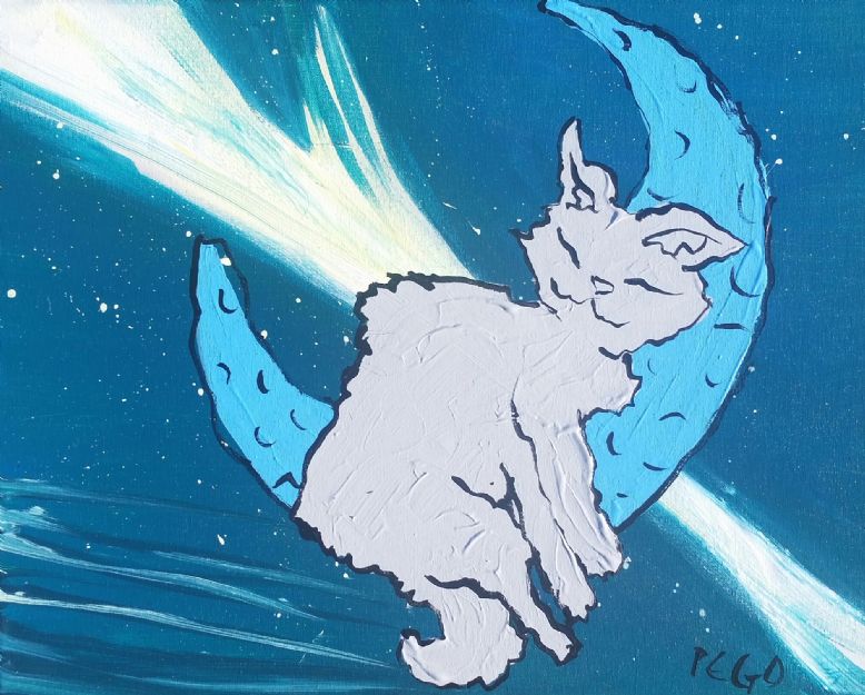 Cat on the Moon