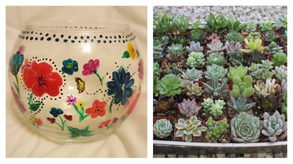 Glass Bowl Painting & Succulents