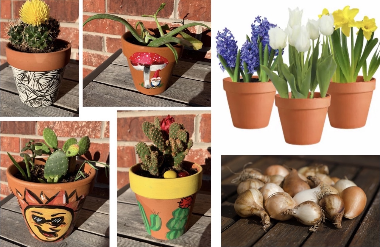 Early Spring Pots & Bulbs
